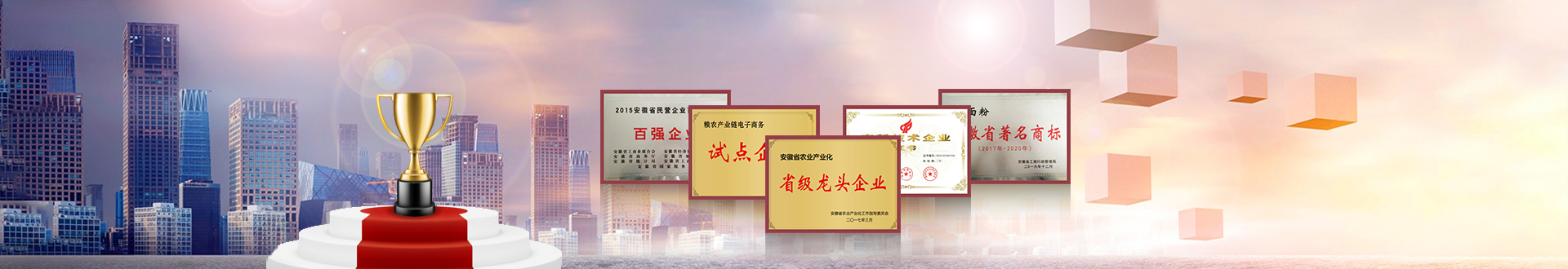 企業(yè)榮譽(yù)