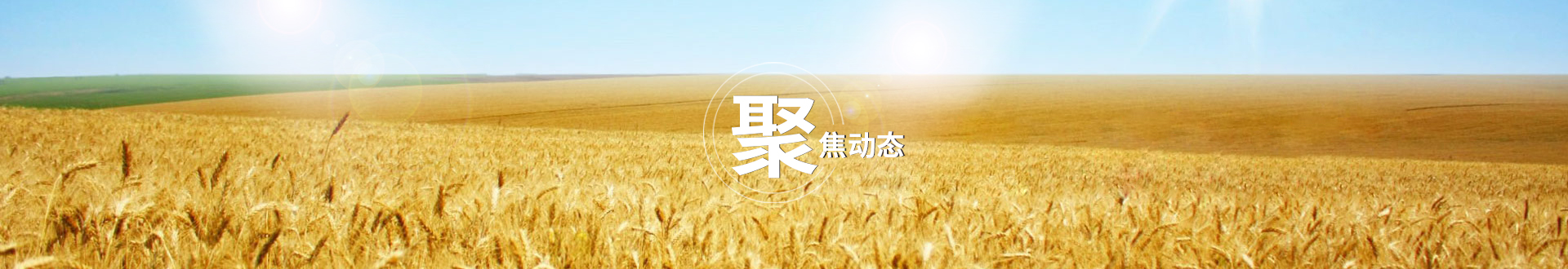 企業動態