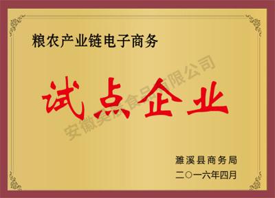 糧農產業鏈電子商務試點企業