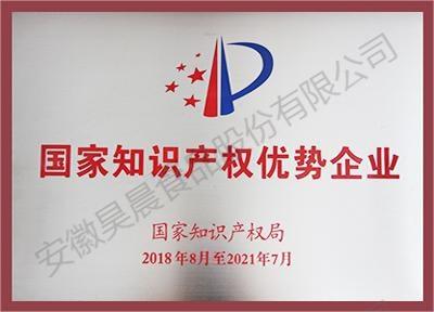 國(guó)家知識(shí)產(chǎn)權(quán)優(yōu)勢(shì)企業(yè)